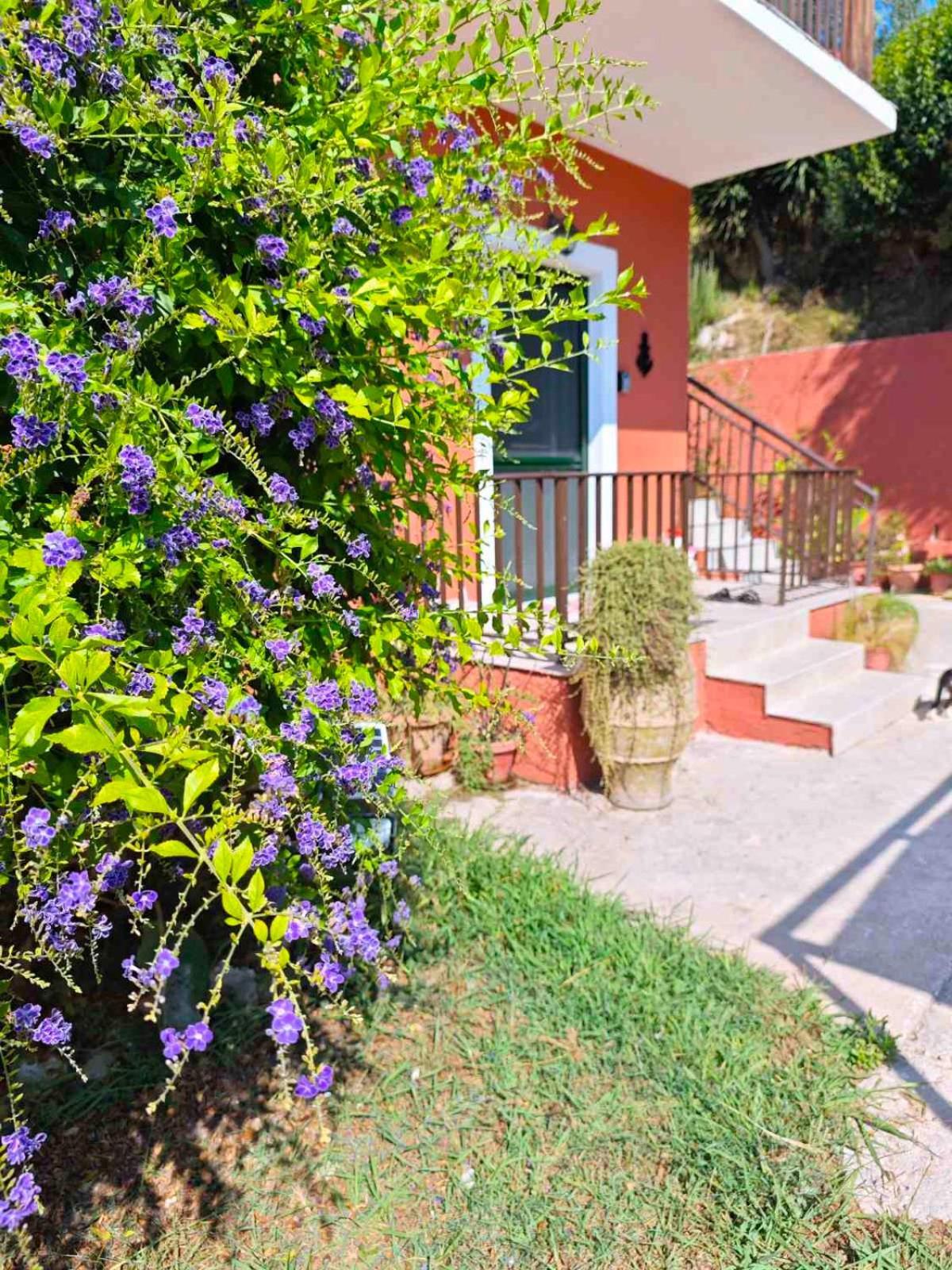Captain'S Apt Arillas  Ngoại thất bức ảnh